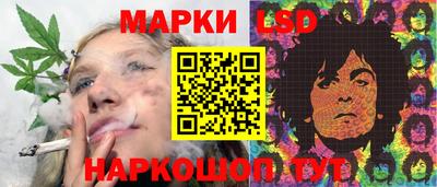 дмт Кингисепп